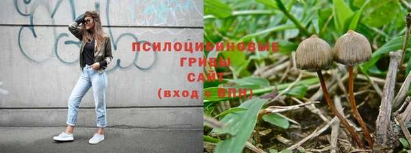 бошки Беломорск