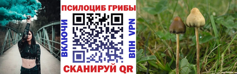 Галлюциногенные грибы мухоморы Харовск