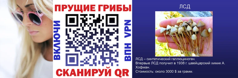 где купить наркотик  Харовск  Галлюциногенные грибы мухоморы 