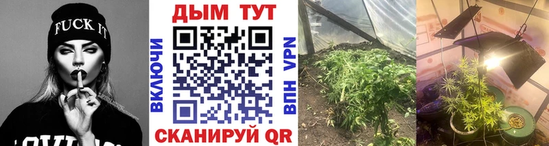 Канабис тримм  где купить наркотик  Харовск 